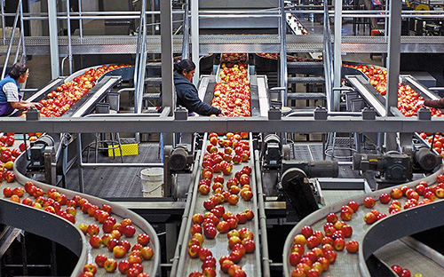 710公海线路检测恭贺清涧北国枣业公司斥资 3.4亿正式投产 